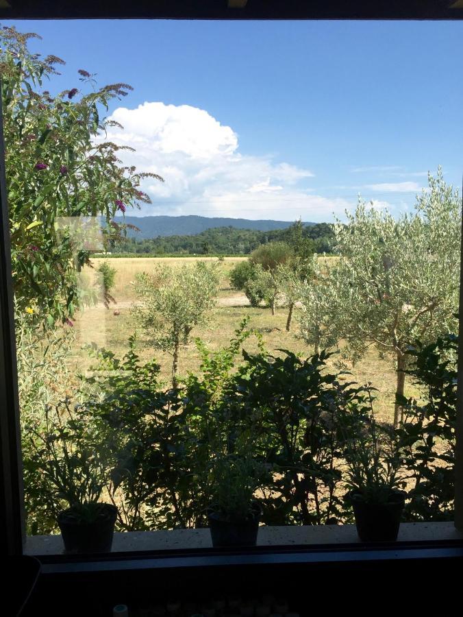 Villa Spacieuse Avec Terrasse Et Vue Mont Ventoux Entrechaux Exterior foto